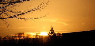 Landschaft - Verschiedene