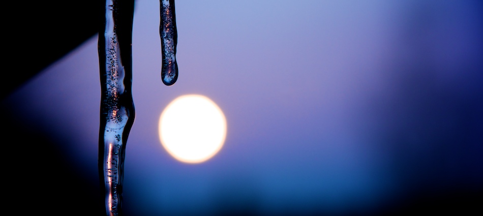 phoMac – Photography: slideshow image 4