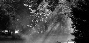 Sonnenstrahlen in Schwarz/Weiß