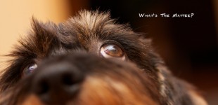 What's the Matter?