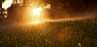 Illuminated Haze